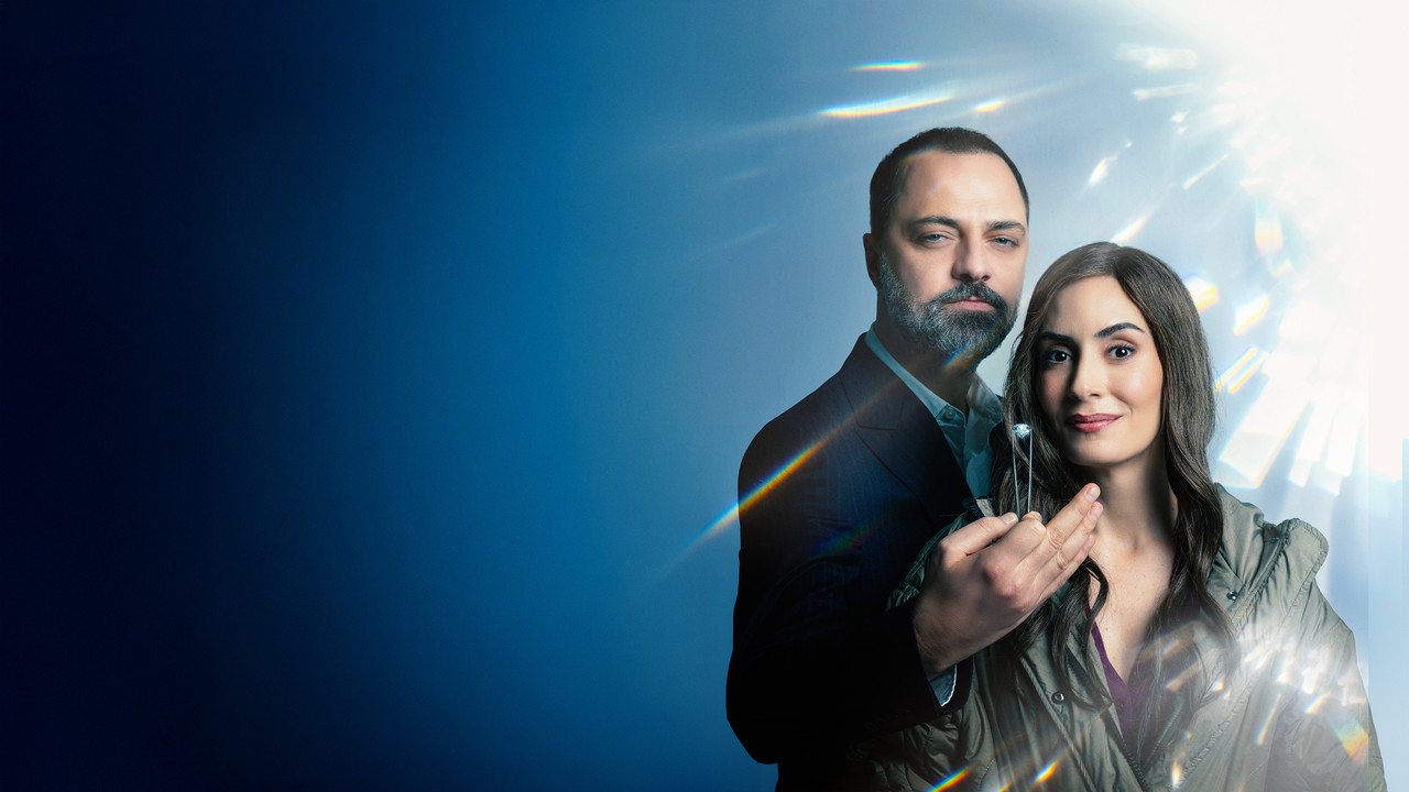 FER Series Screenshot 2